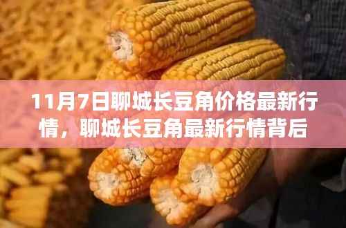 聊城长豆角最新行情背后的故事,价格动态与日常温情回顾