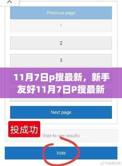 新手友好指南,掌握最新技巧,轻松使用P搜完成任务(11月7日更新版)