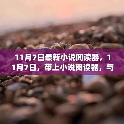 11月7日最新小说阅读器,心灵之旅的必备伴侣