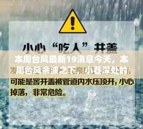 台风余波中的小巷探秘,特色小店之旅本周最新消息