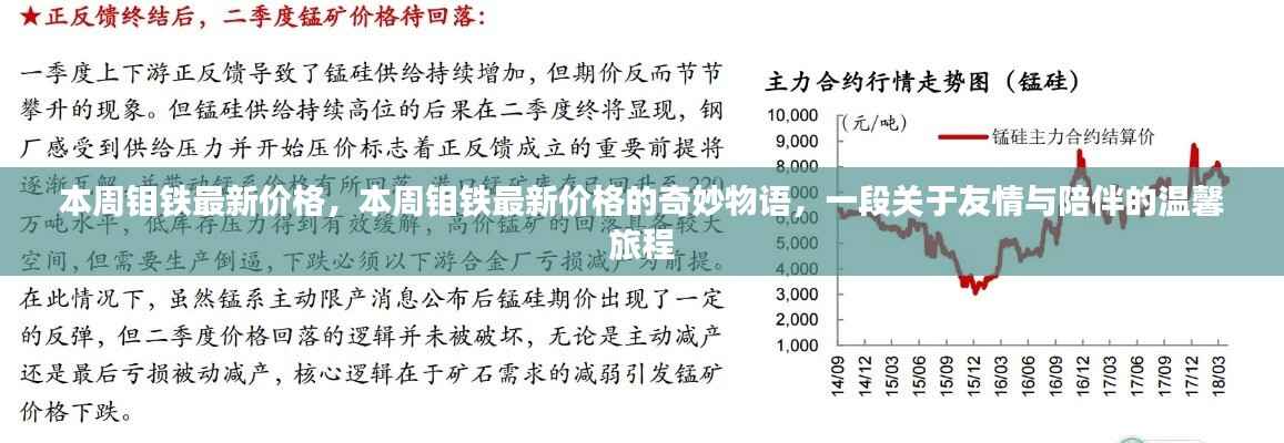 本周钼铁最新价格揭秘,友情与陪伴的温馨旅程