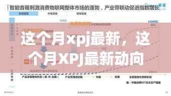 XPJ最新动向深度解析,观点碰撞与本月最新发展