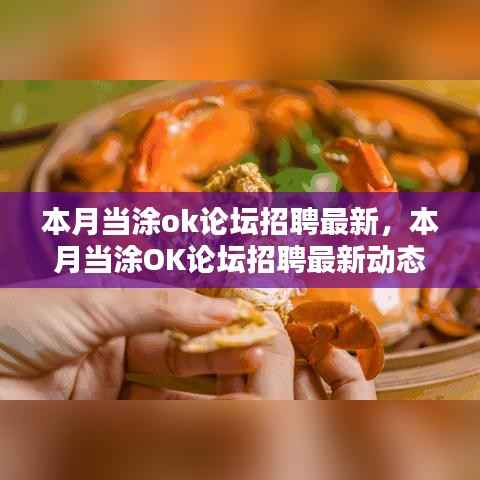 本月当涂OK论坛招聘最新动态,人才热土的深刻影响与地位探索