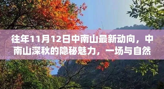 中南山深秋的隐秘魅力,与自然美景的邂逅之旅(最新动向在11月12日)