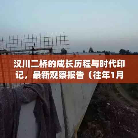 汉川二桥的成长历程与时代印记,最新观察报告(往年1月汉川二桥最新资讯)