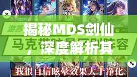 揭秘MDS剑仙,深度解析其最新视频,2024年11月13日独家内容预览