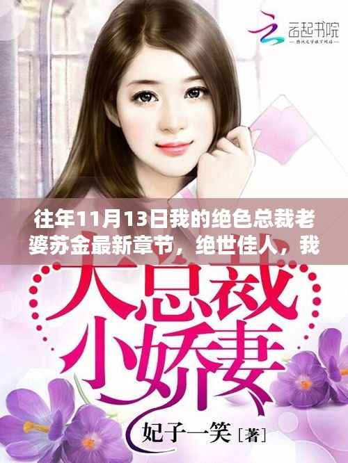 绝世佳人总裁妻苏金，十一月十三日的秘密篇章