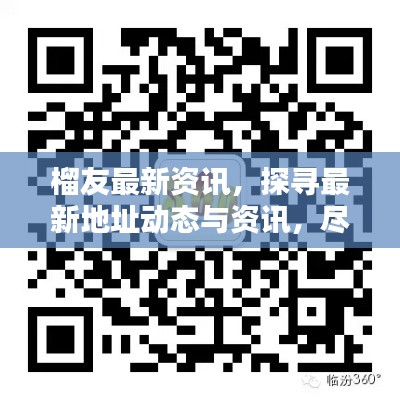 榴友最新资讯,探寻最新地址动态与资讯,尽在11月14日更新