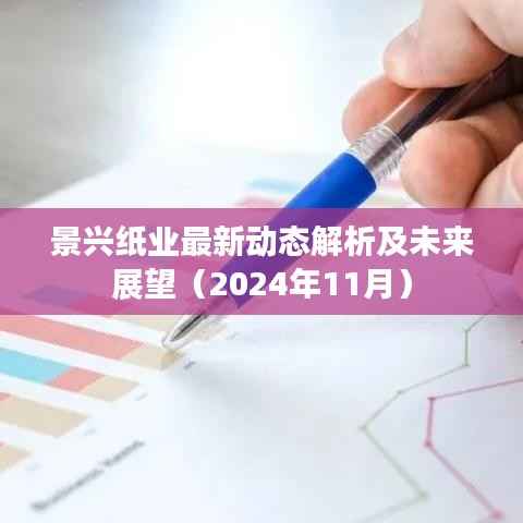景兴纸业最新动态解析及未来展望(2024年11月)