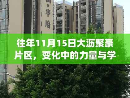 往年11月15日大沥聚豪片区,变化中的力量与学习魅力新篇章