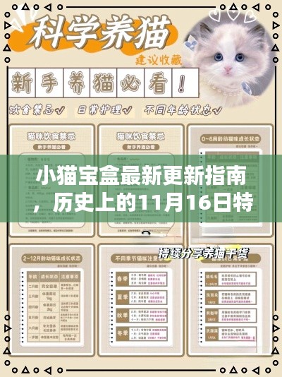 小猫宝盒最新更新指南,历史上的11月16日特别版,适合初学者与进阶用户掌握。
