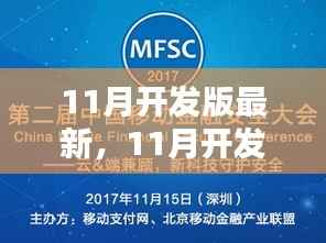 深度探讨某技术,11月开发版最新利弊分析