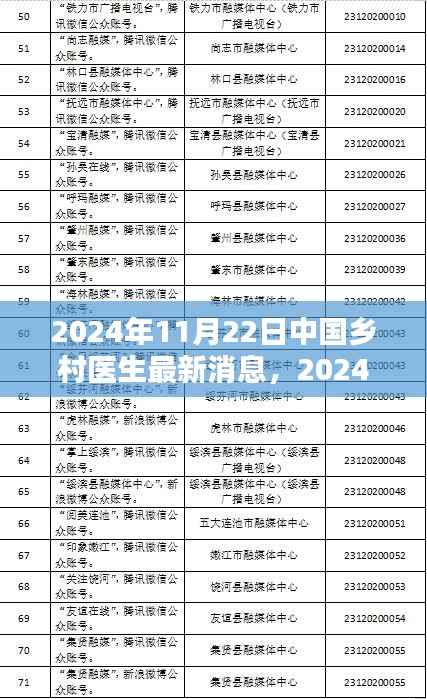 2024年11月22日中国乡村医生最新动态及消息