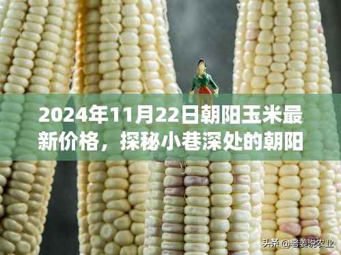 2024年11月22日朝阳玉米最新价格,探秘小巷深处的朝阳玉米宝藏,最新价格背后的美味故事