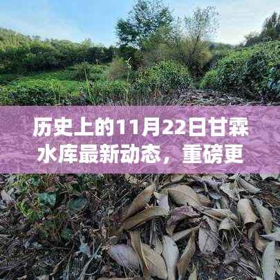 甘霖水库智能系统全新升级,科技魅力下的智能生活新篇章(体验更新动态)
