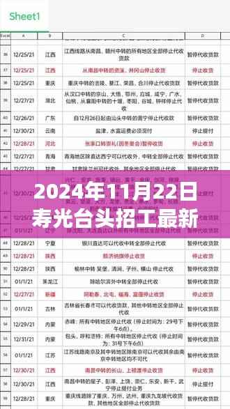 寿光台头招工最新消息解读,聚焦最新招工动态(2024年11月22日)