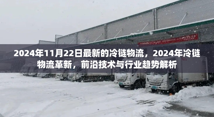 2024年冷链物流革新解析,前沿技术与行业趋势展望
