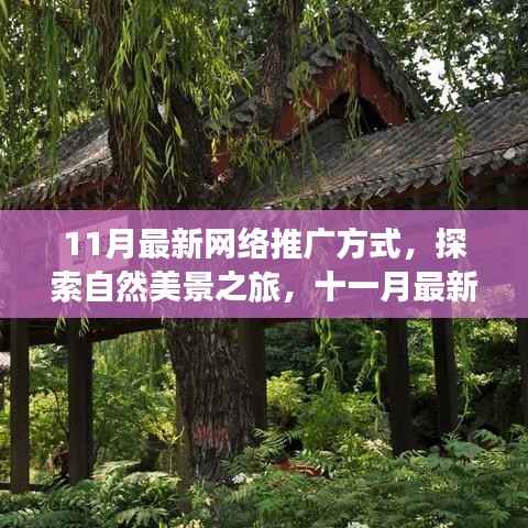 探索自然美景之旅,十一月最新网络推广方式助你寻找内心的宁静与平和