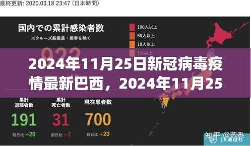 巴西新冠病毒疫情最新进展报告,截至2024年11月25日的最新进展