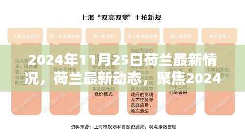 荷兰最新动态,聚焦2024年11月25日概览