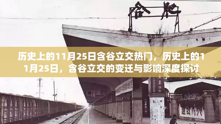 历史上的11月25日含谷立交热门,历史上的11月25日,含谷立交的变迁与影响深度探讨
