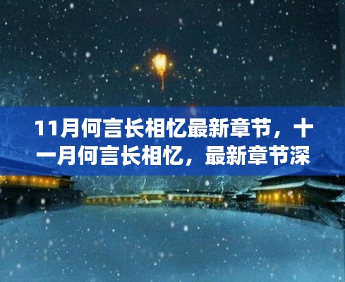 深度解析与背景探讨,最新章节十一月何言长相忆揭秘