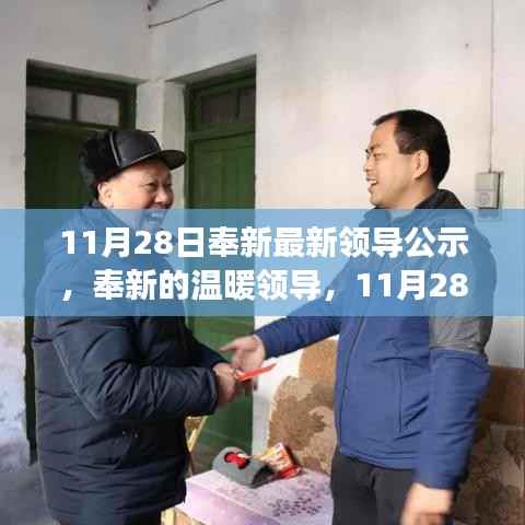 项目介绍 第509页