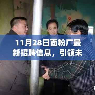 11月28日面粉厂最新招聘信息,引领未来,科技重塑生活——面粉厂最新智能生产线招聘信息与高科技产品体验之旅