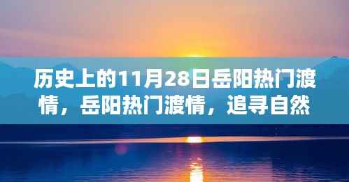 杳无音讯 第3页