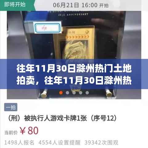 往年11月30日滁州土地拍卖全景解析,特性、体验、对比及前景展望