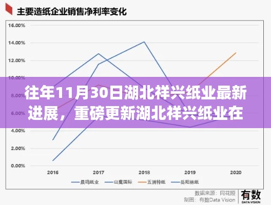 揭秘湖北祥兴纸业最新进展,行业新动向揭秘于往年11月30日重磅更新📦