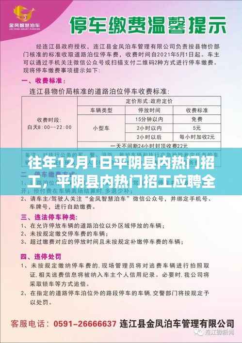 平阴县内热门招工信息详解与应聘全攻略,12月1日招工日活动概览
