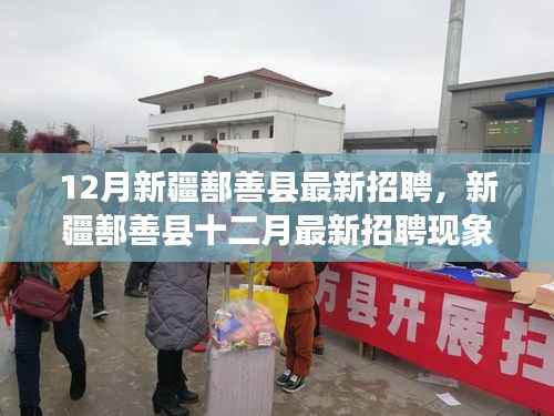新疆鄯善县十二月最新招聘现象下的就业观察与个人立场分析