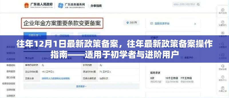 往年政策备案操作指南,从入门到进阶的实用指南