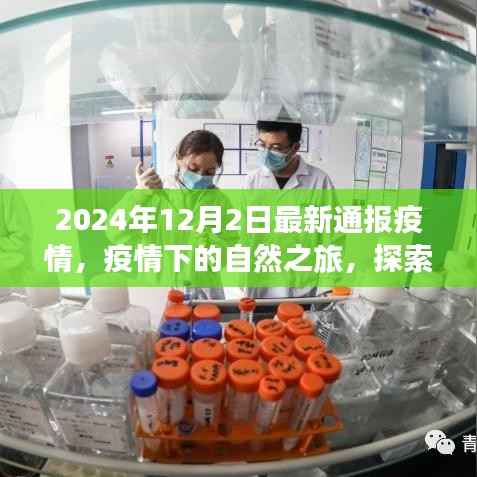 疫情下的自然探索之旅,寻找内心的宁静与力量(最新疫情通报,日期,2024年12月2日)