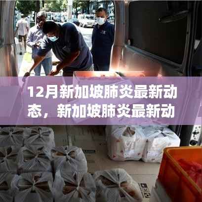 全面解读与观点分析,新加坡肺炎最新动态(12月更新)