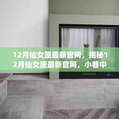 揭秘12月仙女屋最新官网,小巷中的特色仙女屋探秘