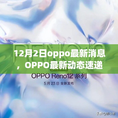 OPPO最新动态速递,12月2日热点解读与最新消息