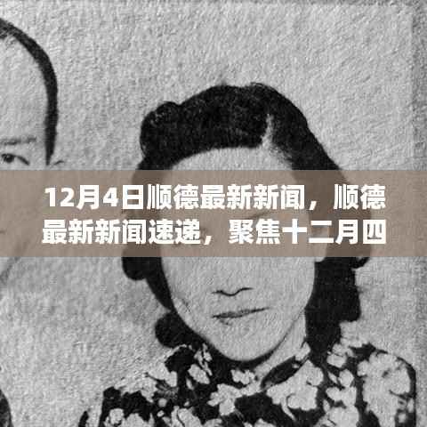 顺德十二月四日最新新闻聚焦发展动态速递