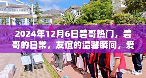 碧哥,友情与爱在2024年温馨绽放的璀璨篇章