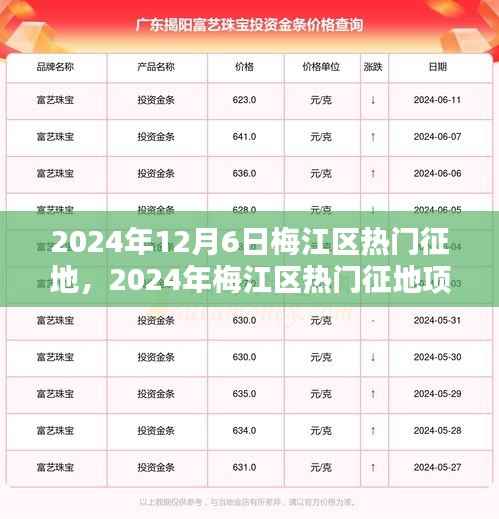 2024年梅江区热门征地项目全景解析