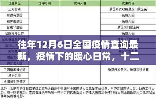 往年12月6日全国疫情查询最新，疫情下的暖心日常，十二月六日的疫情查询与家的温馨时光