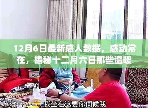 揭秘暖心数字背后的故事，感动常在，十二月六日的感人数据回顾