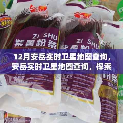 探索十二月安岳地理新视界,实时卫星地图查询服务开启