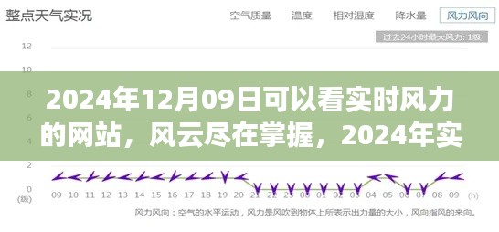 掌握风云,实时风力监测网站全面评测与推荐(2024年)