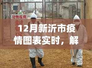 新沂市十二月疫情实时图表动态，洞悉防控进展与进展数据解读