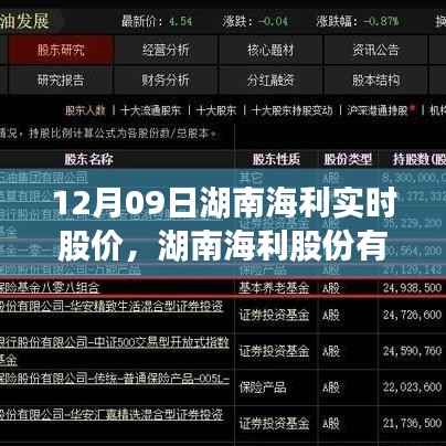 湖南海利股价动态及在特定领域的影响力分析