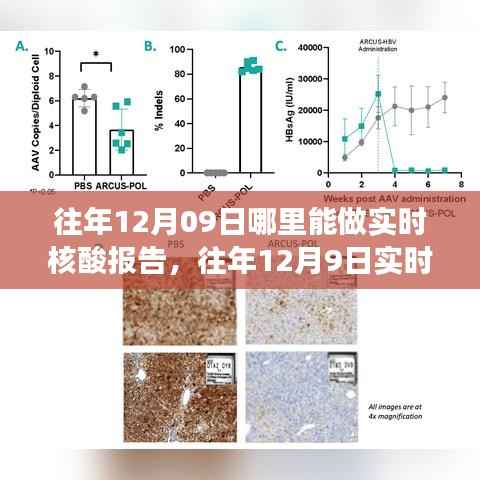 往年12月9日实时核酸检测报告可行性探讨,某观点视角下的探讨与探讨地点解析