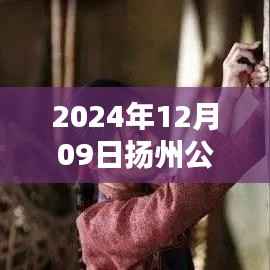 扬州公共实时任务指南，新手进阶之路（2024年12月09日版）