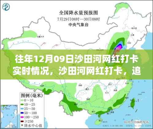 沙田河网红打卡,追寻自然美景之旅,心灵宁静密码解锁在十二月九日